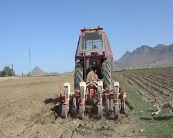 افزایش 20 درصدی مزارع زیرکشت ذرت علوفه‌ای در فریدن