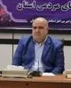 استفاده حداکثری از ظرفیت های سمن ها الزامیست