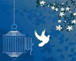 آزادی 677 زندانی جرایم غیرعمد در اصفهان
