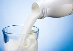 کاهش تقاضای مصرف شیر در استان به دلیل شایعات فضای مجازی
