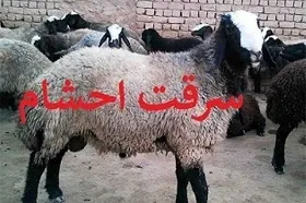 دستگیری سارقان احشام چرام در استان همجوار