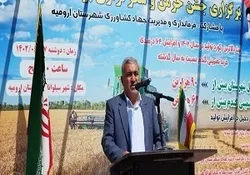 برگزاری جشن خرمن و شکرگزاری برداشت گندم در ارومیه