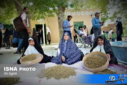 نخستین جشنواره توت ترکان در استان یزد برگزار شد
