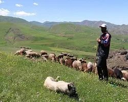 ورود نیمی از عشایر اصفهان به مناطق ییلاقی استان