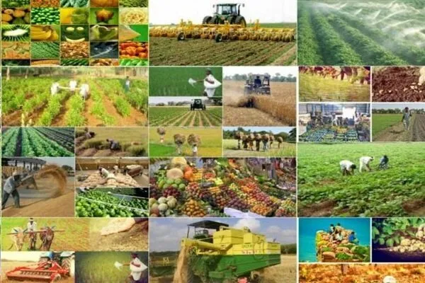 دولت سیزدهم برای کشاورزی گلستان چه کرد؟