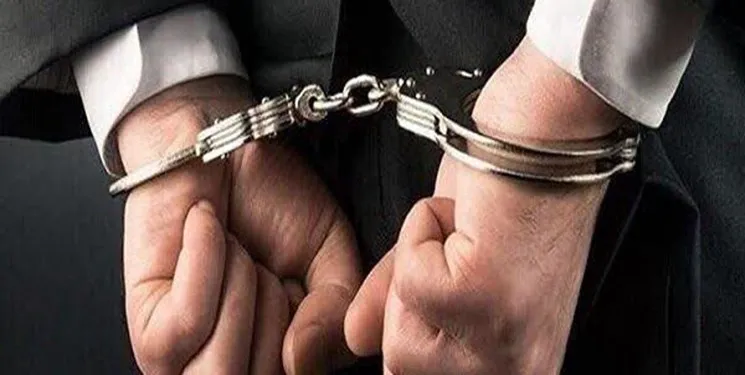 دستگیری 35 سارق در خراسان‌جنوبی